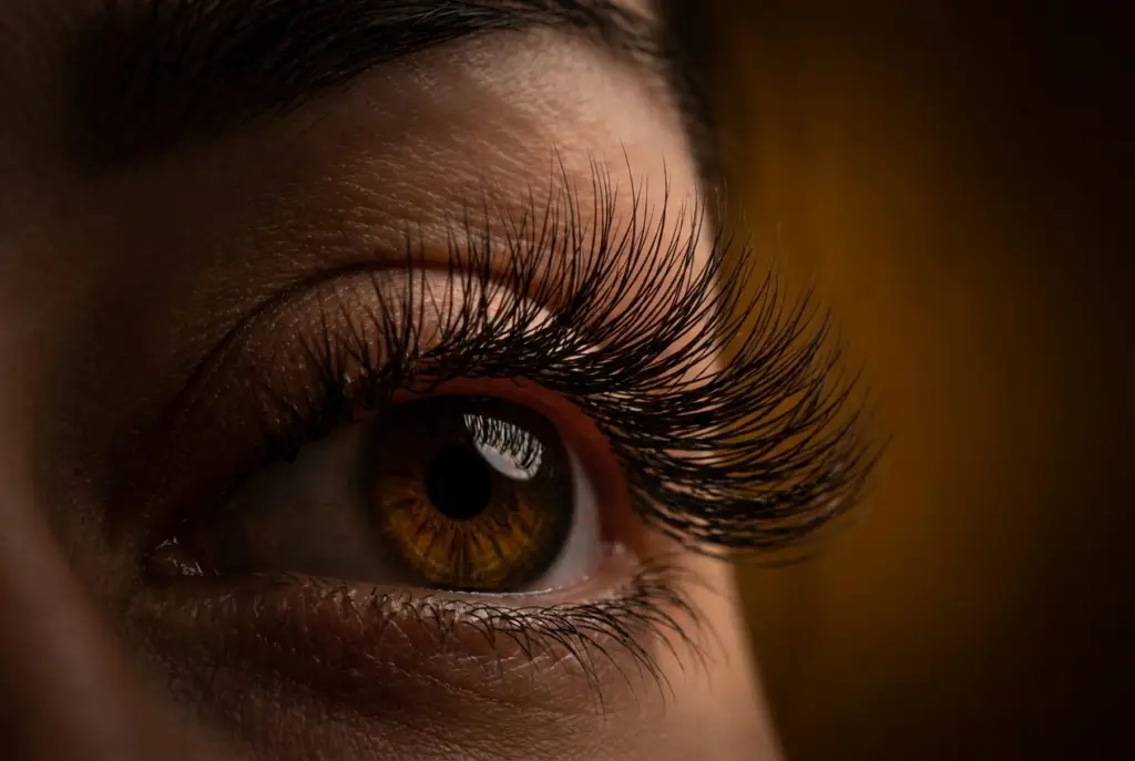 Klassisk Lash Lift hos Brows & Beauty i Aarhus med naturligt vippeløft, løftede vipper, buede egne vipper og åbent blik uden extensions