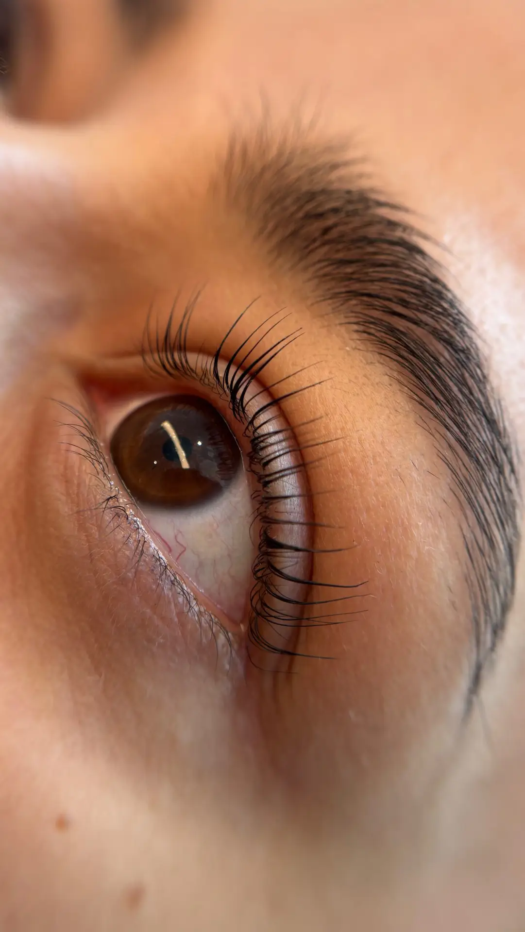 Nærbillede af det færdige resultat af et Korean lash lift med naturlige produkter udført hos skønhedsklinikken Brows & Beauty i Aarhus.